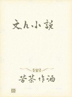 文h小说