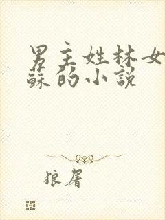 男主姓林女主姓苏的小说