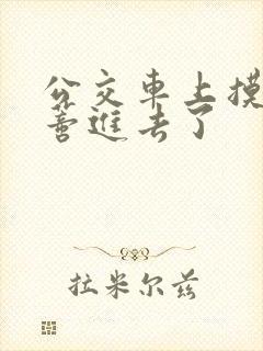 公交车上摸到花蒂进去了