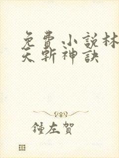 免费小说林辰九天斩神诀