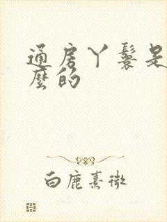 通房丫鬟是干什么的