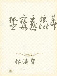 孤寂之狼叶凡司空嫣然txt下载封面