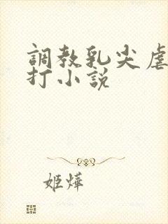 调教乳尖虐乳鞭打小说封面