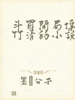 斗罗开局俘获朱竹清的小说