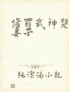 修罗武神楚枫的妻子