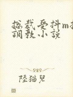 总裁受抖m挨打调教小说封面