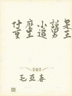 什么小说是女主重生追男主的