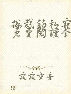 总裁的私宠宝贝免费阅读全文