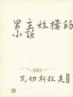 男主姓楼的总裁小说