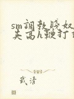 sm调教贱奴乳夹高h鞭打视频封面