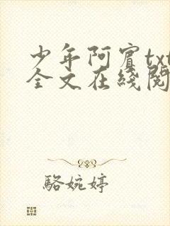 少年阿宾txt全文在线阅读