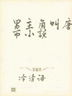 男主角叫唐枫都市小说