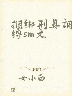 捆绑刑具调教束缚sm文封面