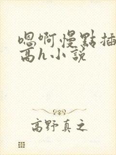 嗯啊慢点插进去高h小说封面