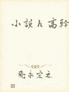 小说 h 高干