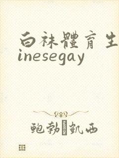 白袜体育生chinesegay