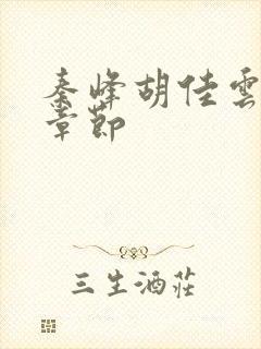 秦峰胡佳云更新章节封面