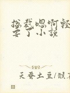 总裁嗯啊轻点不要了小说封面