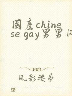 国产chinese gay男男网站