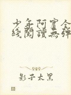 少年阿宾全文在线阅读无弹窗