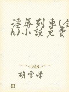 淫辱列车(全黄h)小说免费封面