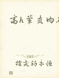 高h荤爽肉欲文