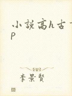 小说高h古言np