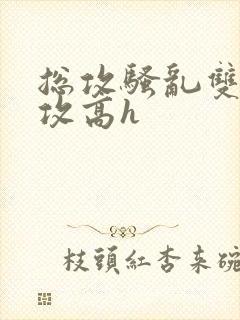 总攻骚乱双性互攻高h