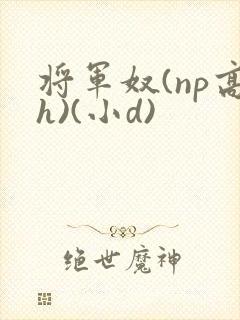 将军奴(np高h)(小d)