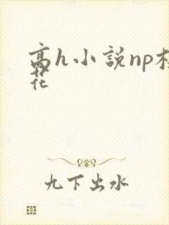 高h小说np校花封面