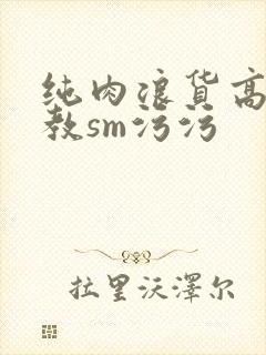 纯肉浪货高h调教sm污污封面