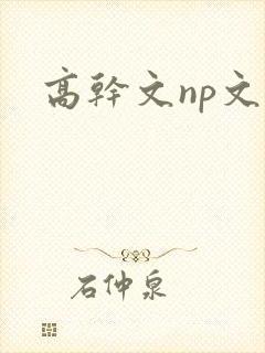 高干文np文封面