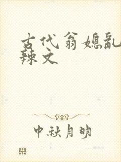 古代翁媳乱高h辣文封面