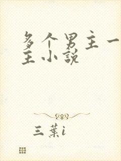 多个男主一个女主小说