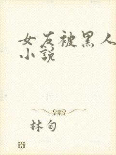 女友被黑人调教小说封面