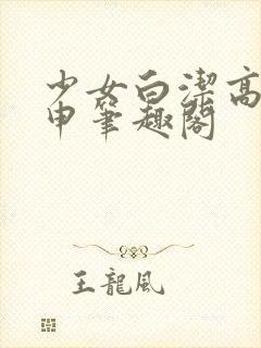 少女白洁高义王申笔趣阁