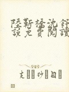 陆靳桥沈舒宁小说免费阅读最新章节