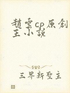 赵云cp原创女主小说