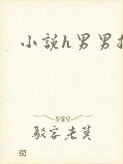 小说h男男总受封面