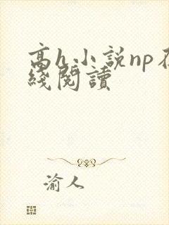 高h小说np在线阅读