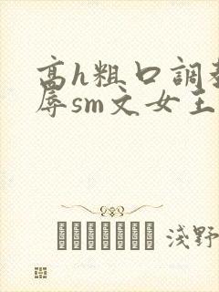 高h粗口调教羞辱sm文女王