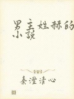 男主姓赫的总裁小说封面