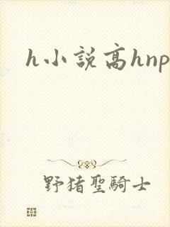 h小说高hnp