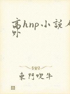 高hnp小说人外