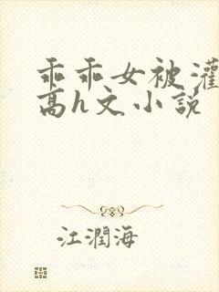 乖乖女被灌满精高h文小说