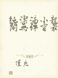 纯洁滴小龙笔趣阁无弹窗最新章节阅