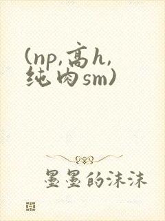 (np,高h,纯肉sm)