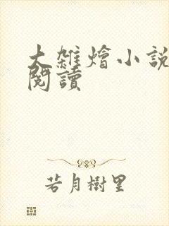 大杂烩小说全文阅读