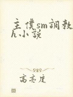 主仆sm调教高h小说封面