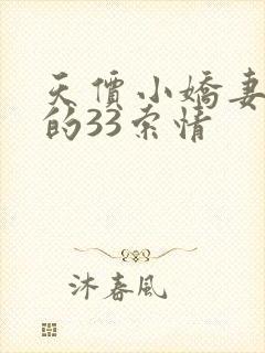 天价小娇妻总裁的33索情封面